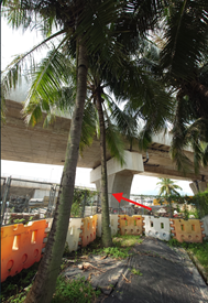 A palm trees under a bridge

AI-generated content may be incorrect.