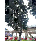 Picture 655872609, Picture