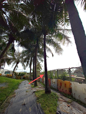 A path with palm trees and a road

AI-generated content may be incorrect.