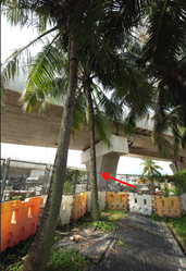 A palm trees under a bridge

AI-generated content may be incorrect.
